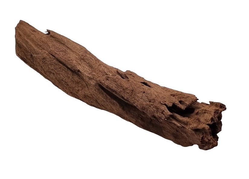 Mangrove Größe M / Nr.133