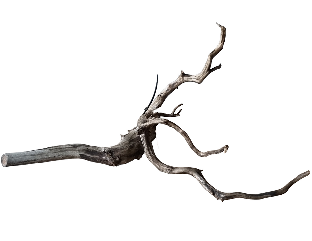 Sera Scaper Root M Nr. 286