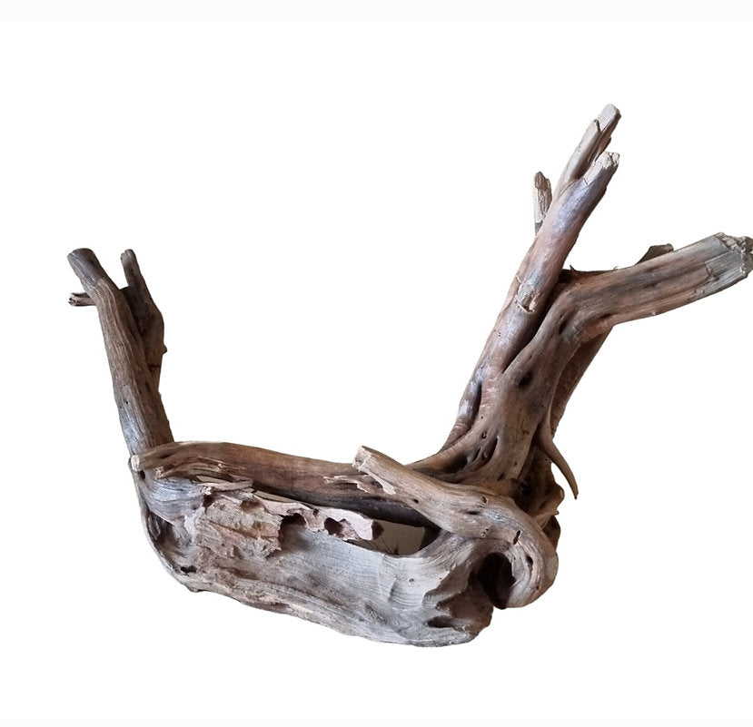 WIO Tree Trunk Wood Wurzel 345