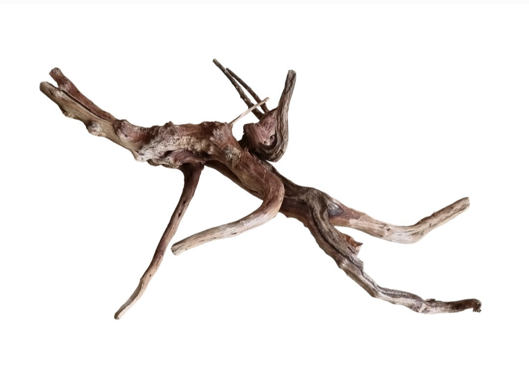 WIO Tree Trunk Wood Wurzel 360