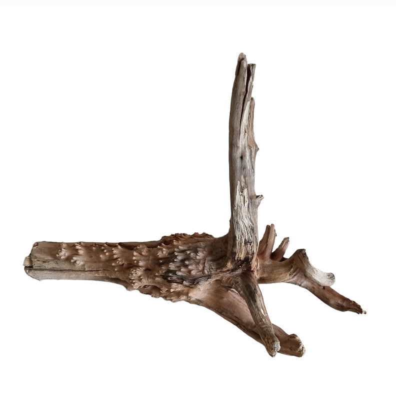 WIO Tree Trunk Wood Wurzel 365