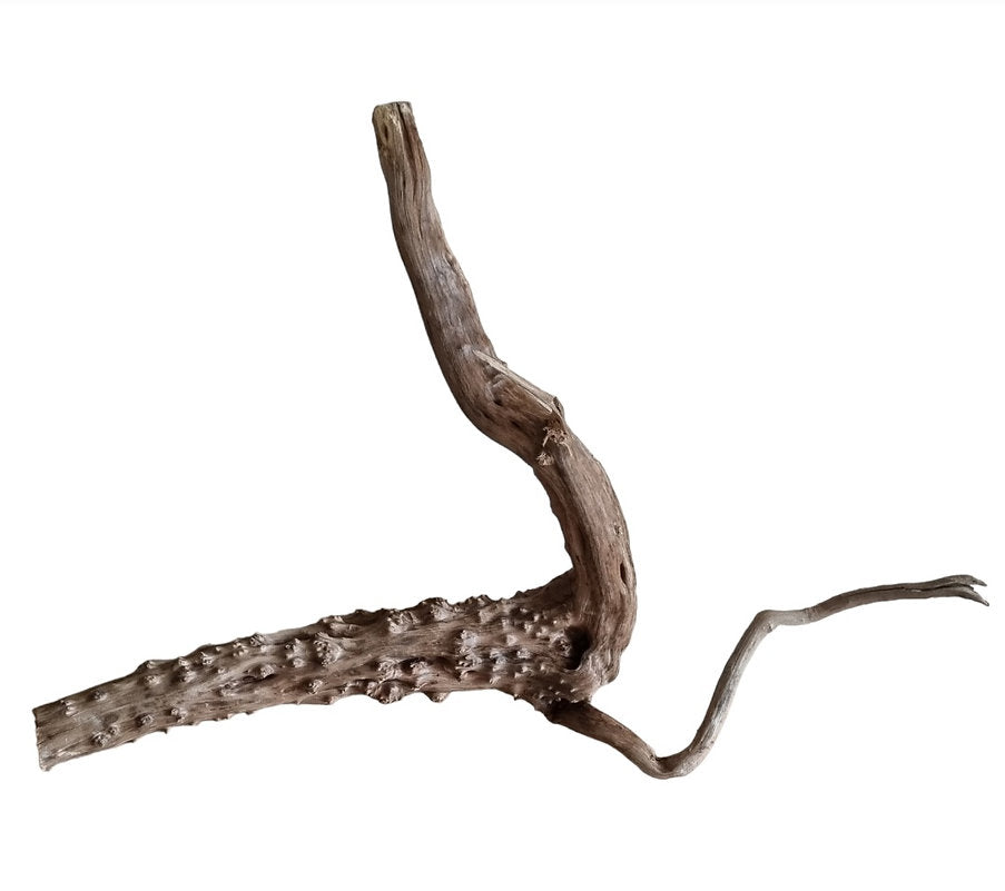 WIO Tree Trunk Wood Wurzel 359