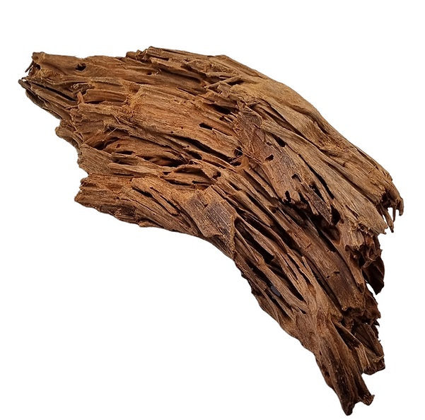 Mangrove Größe L / Nr. 80