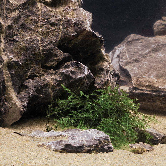 Dennerle Natural Gravel Mekong 0,1 – 1,4 mm