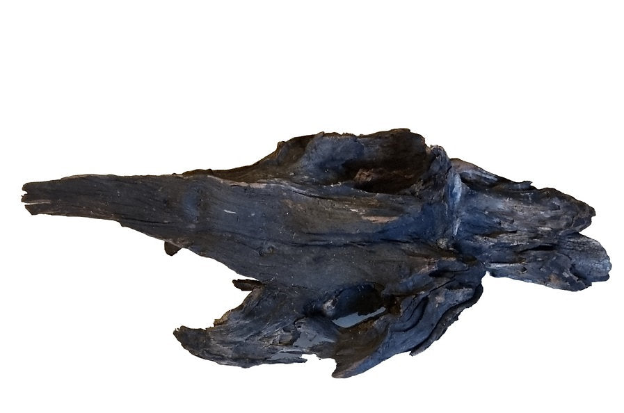 Driftwood / Flusswurzel Nr. 257