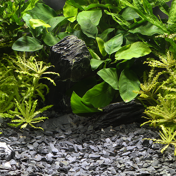 Natural Gravel Kongo 3 – 8 mm