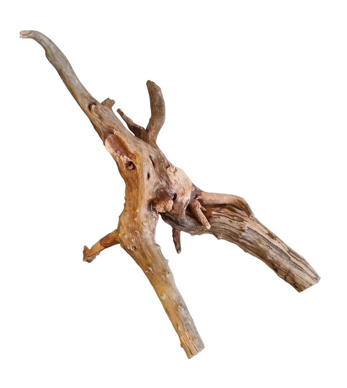 WIO Tree Trunk Wood Wurzel 350