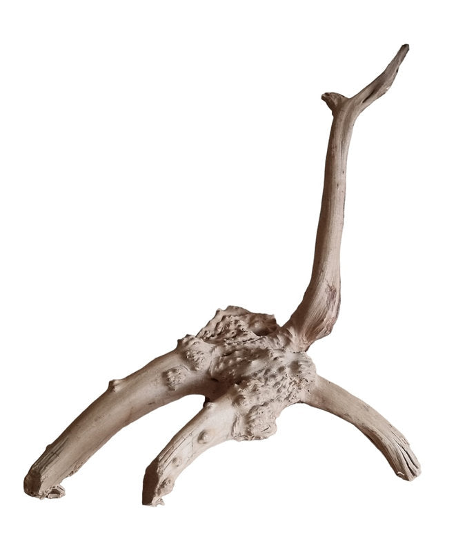 WIO Tree Trunk Wood Wurzel 295