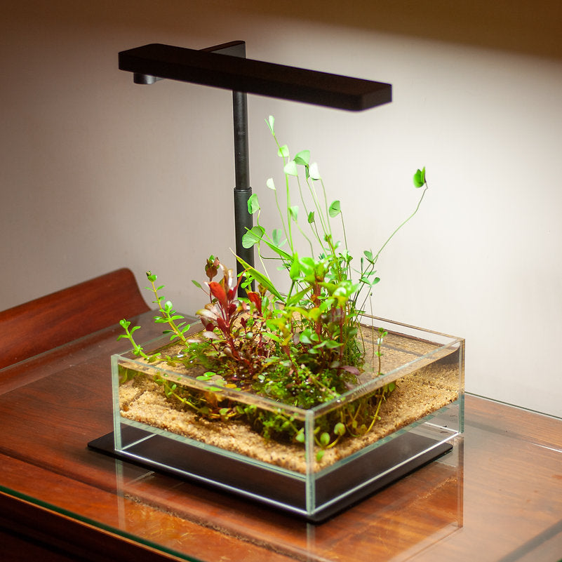 Chihiros C2 Serie LED 15W 20-35cm - DE Version