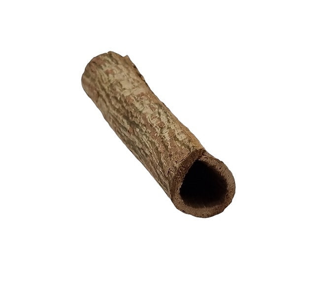 Seemandelbaumröhre als Versteck für Garnelen im Aquarium.