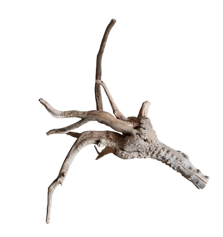 WIO Tree Trunk Wood Wurzel 362