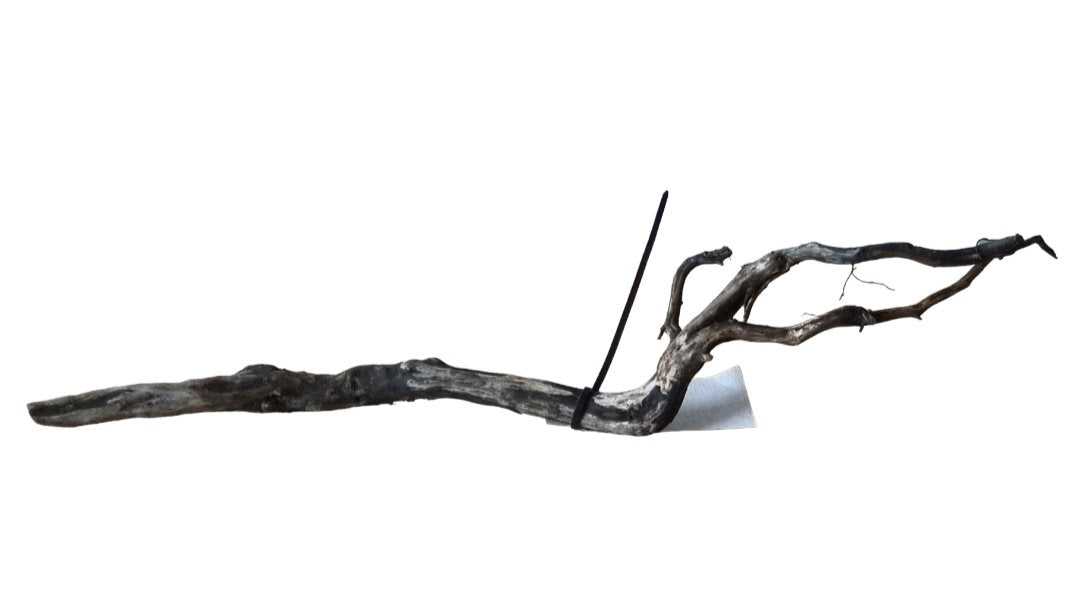 Sera Scaper Root S Nr. 276