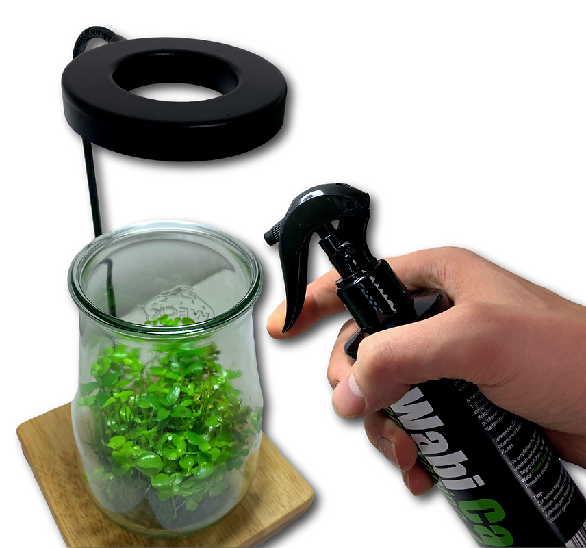 Greenscaping Wabi-Kusa Pflegeset 250 ml