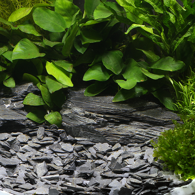 Natural Gravel Kongo 10 – 30 mm