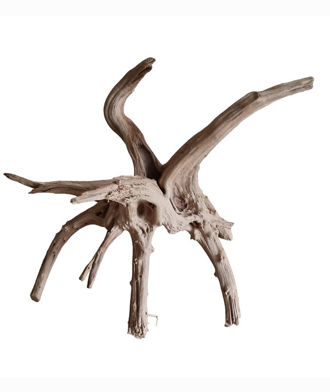 WIO Tree Trunk Wood Wurzel 292