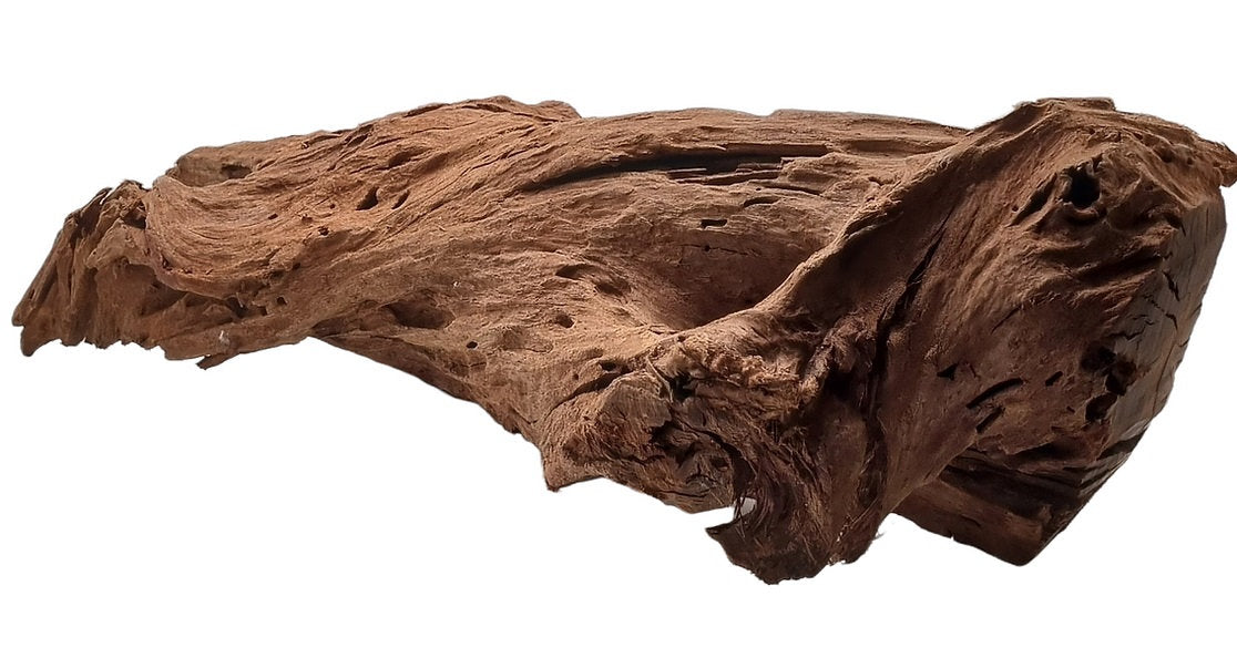 Mangrove Größe L / Nr.130