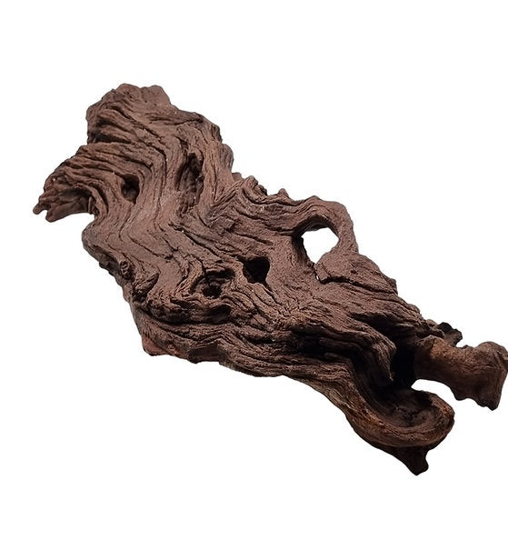 Mopani Wurzel Nr.41