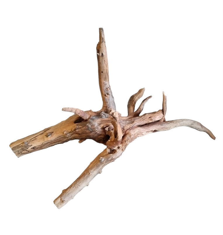 WIO Tree Trunk Wood Wurzel 350