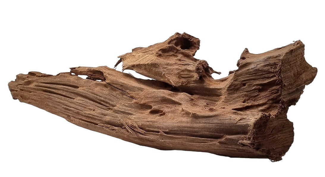 Mangrove Größe L / Nr.118