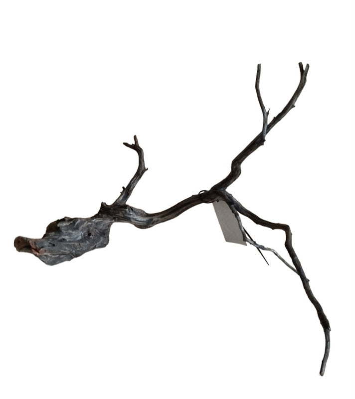 Sera Scaper Root M Nr. 287