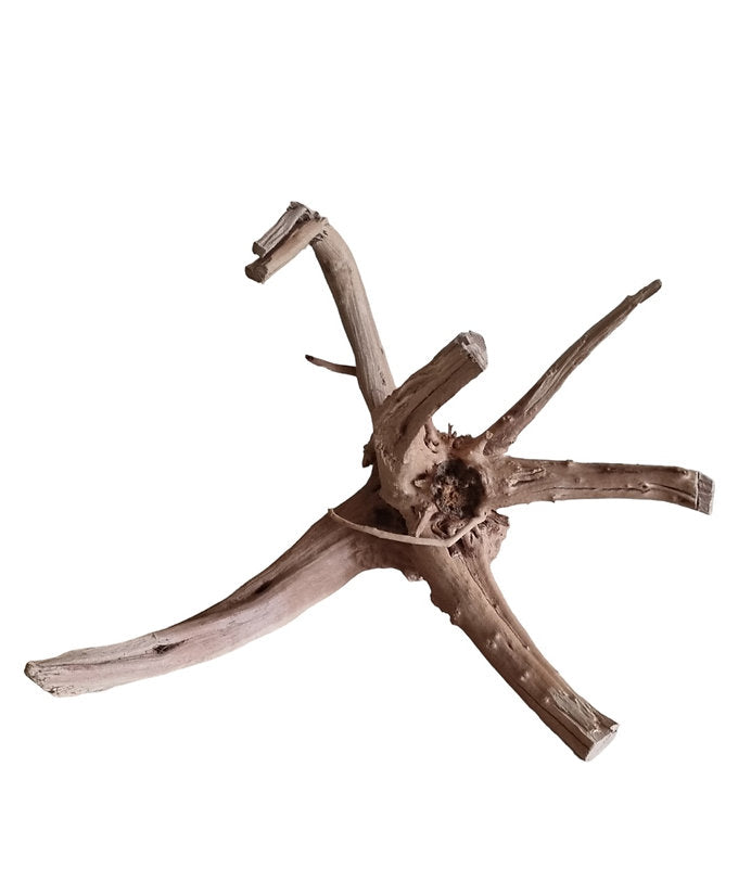 WIO Tree Trunk Wood Wurzel 297