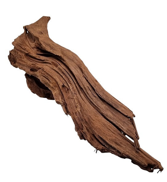 Mangrove Größe L / Nr. 79