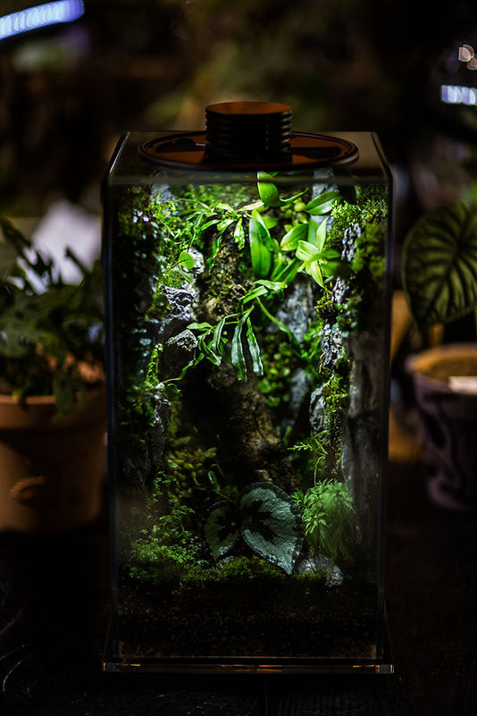 Bioloark - Biobottle FD 200 oder 250