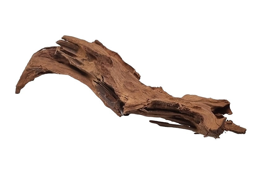 Mangrove Größe M / Nr.74