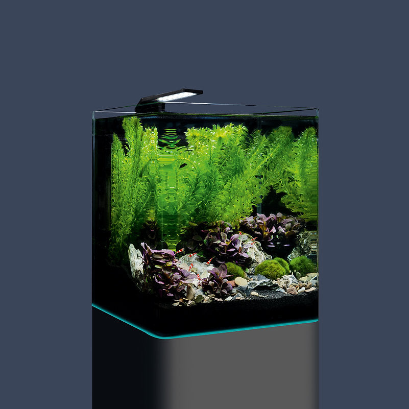 Dennerle Nano Cube Complete, 20 L 2022 Version