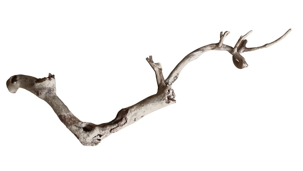 Talawa Wood Nr. 237