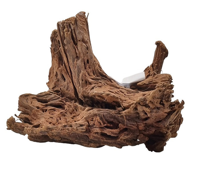 Mangrove Größe L / Nr.152