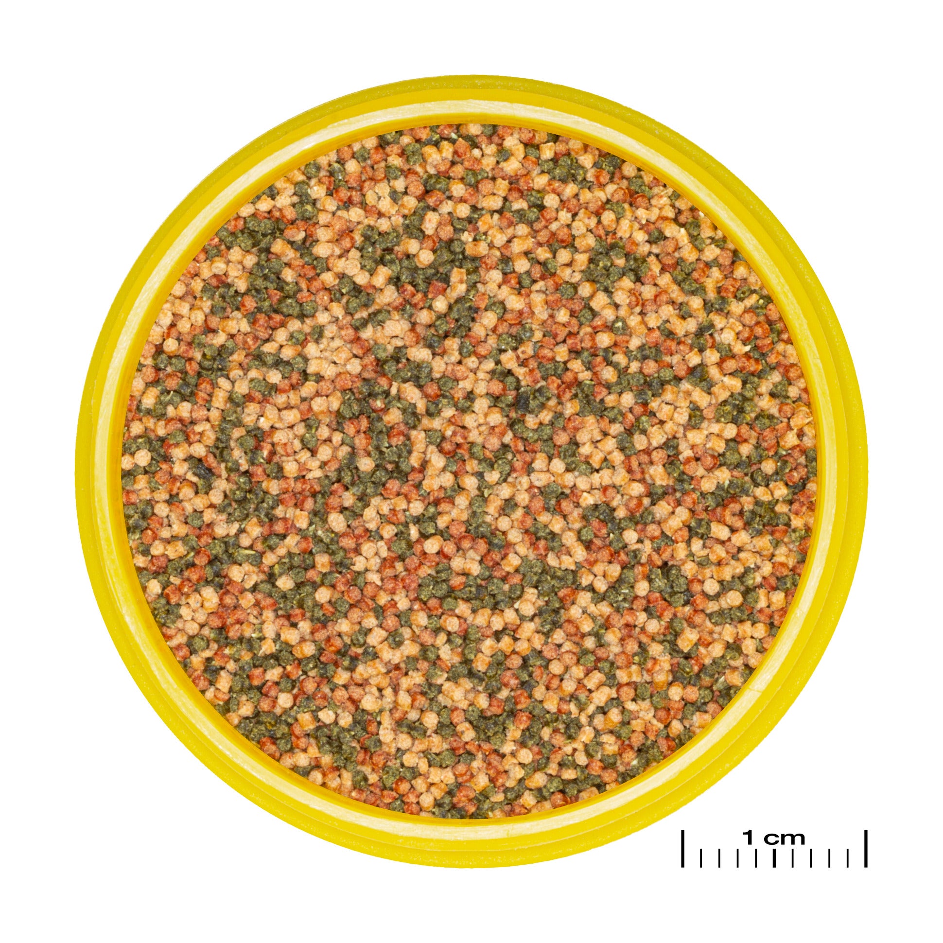 JBL PRONOVO BEL GRANO S