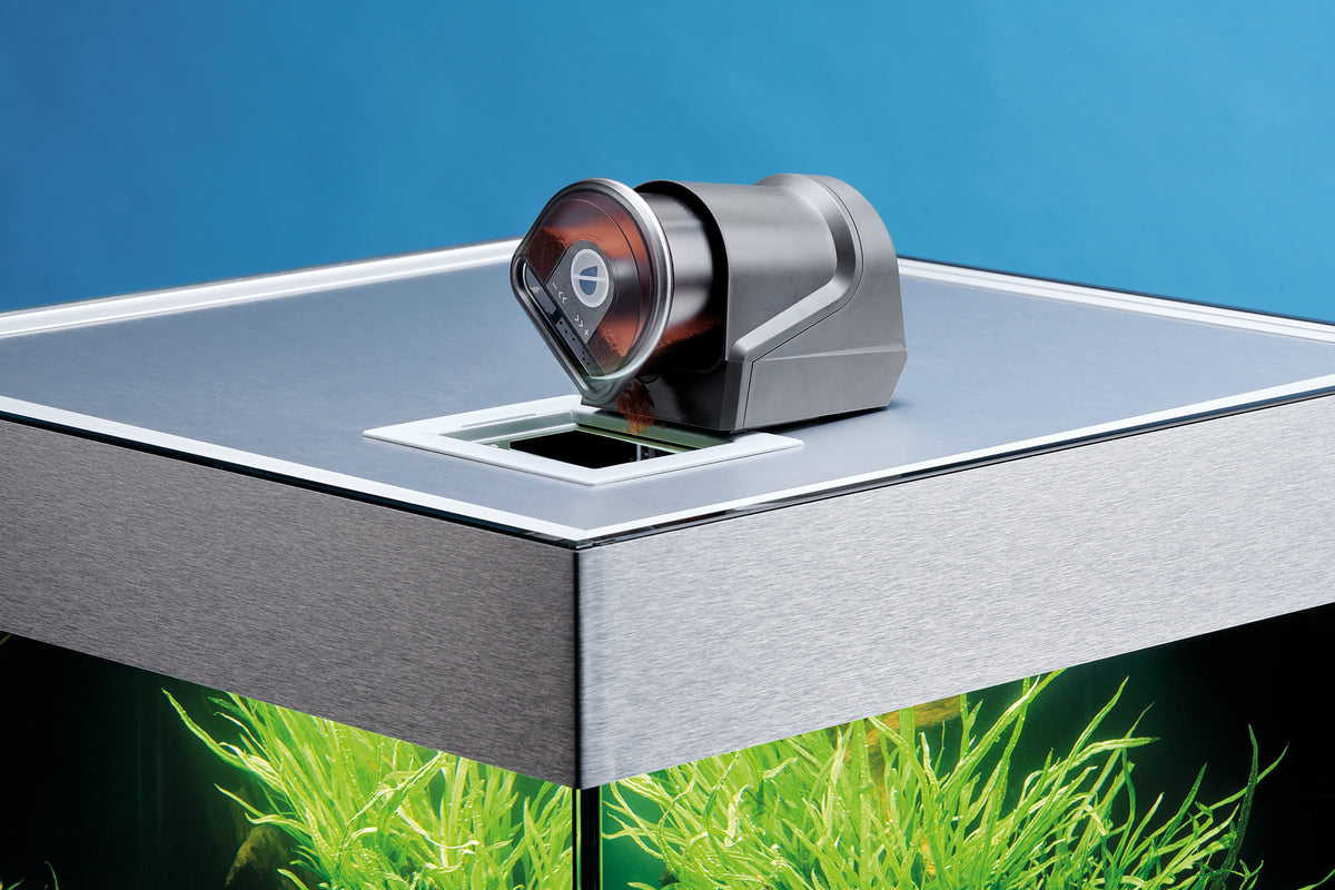 Oase FishGuard Futterautomat