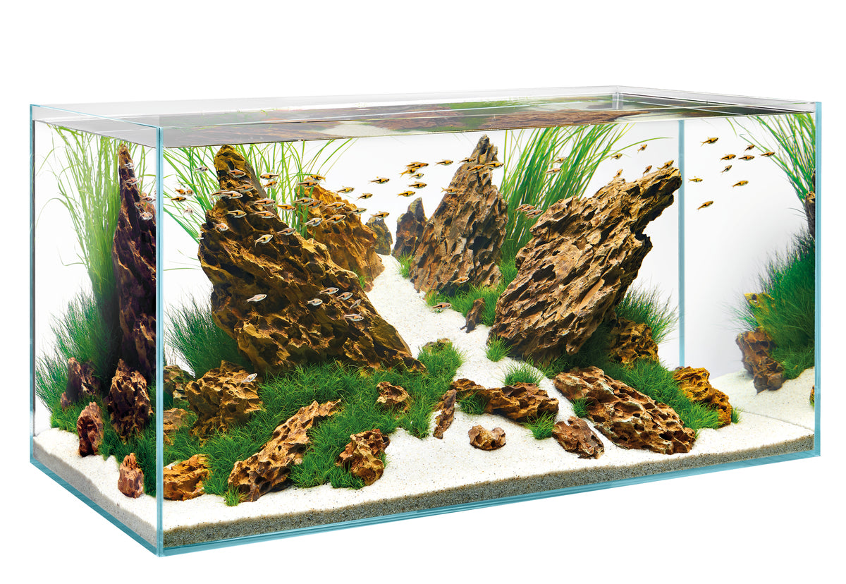 Oase ScaperLine 90 Aquarium