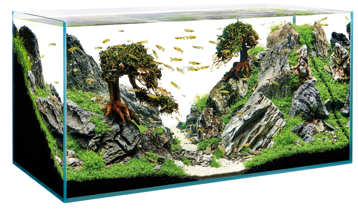 Oase ScaperLine 100 Aquarium