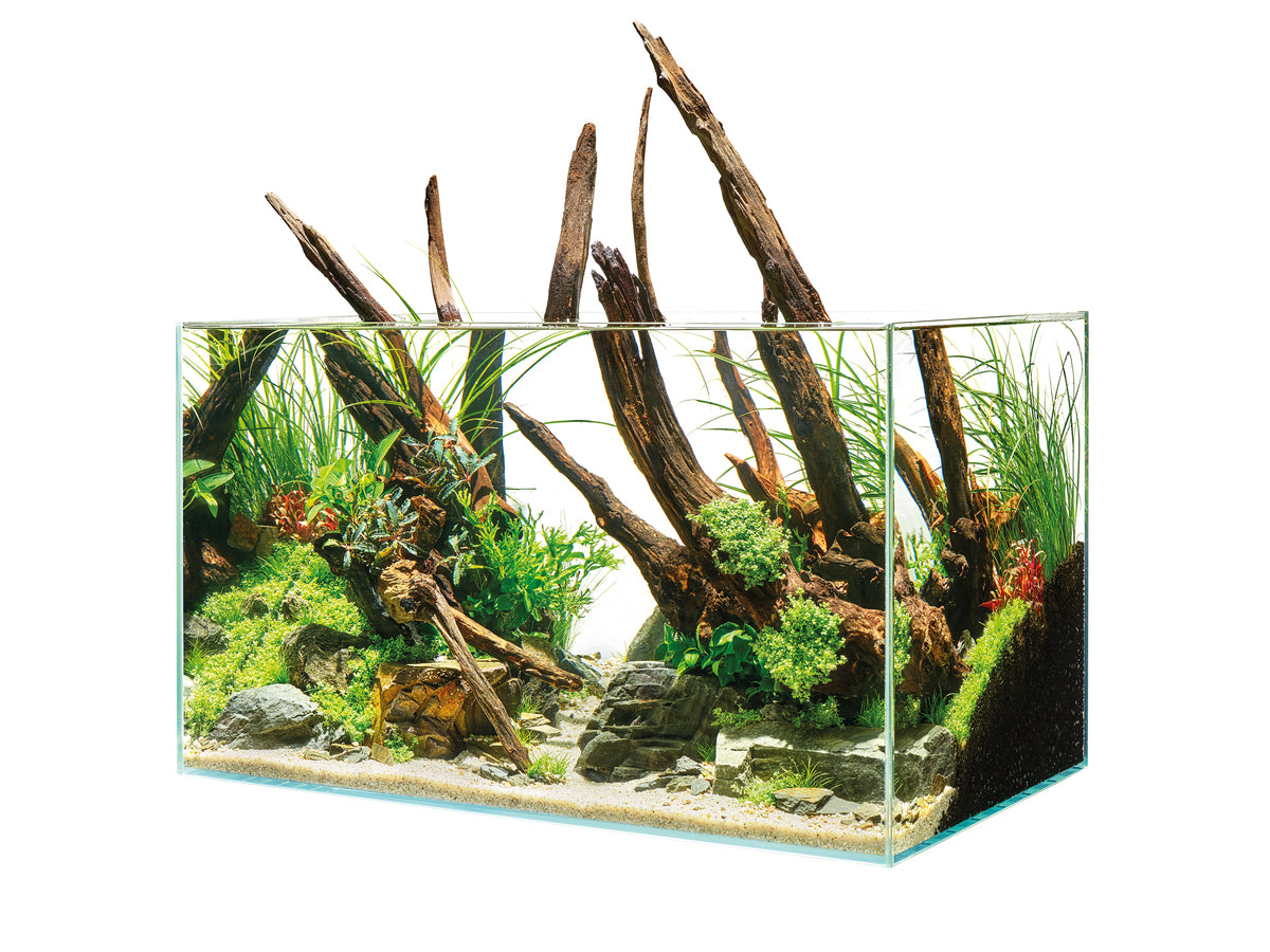 Oase ScaperLine 60 Aquarium