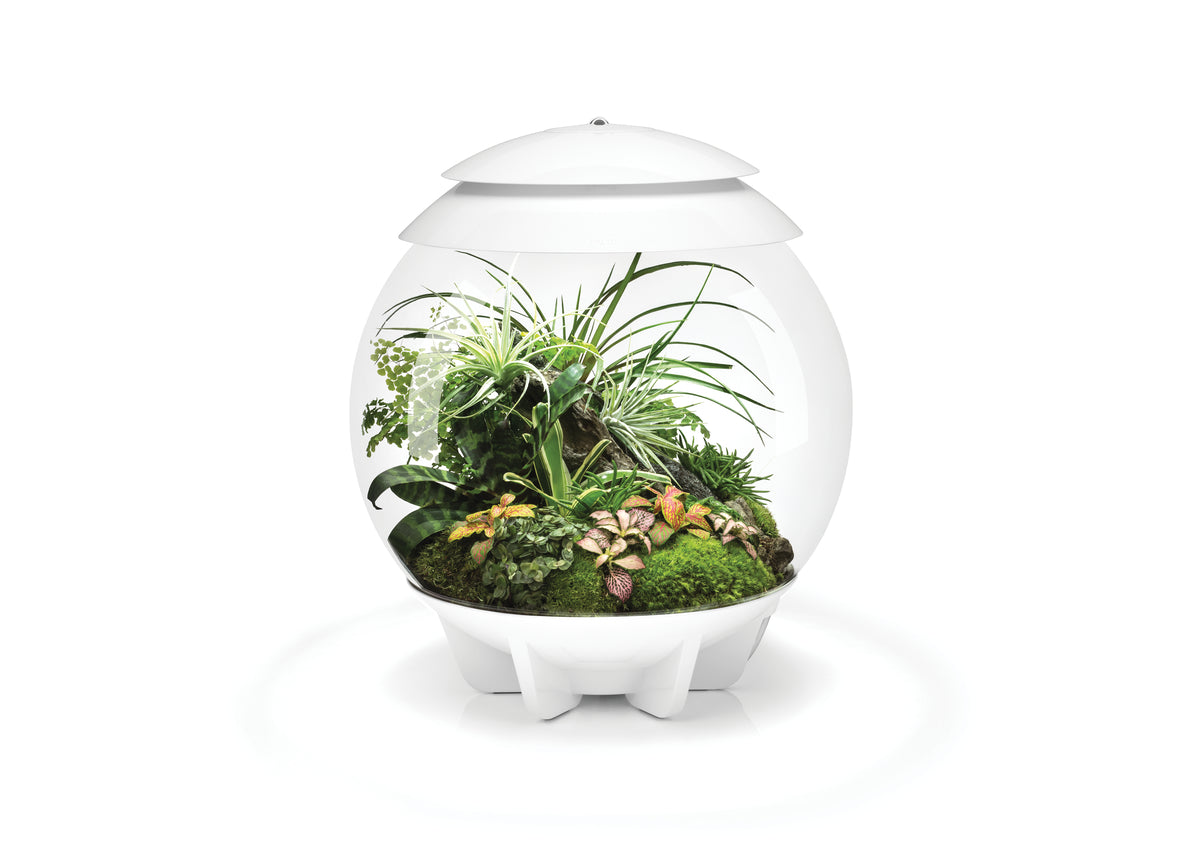 Oase biOrb AIR 30