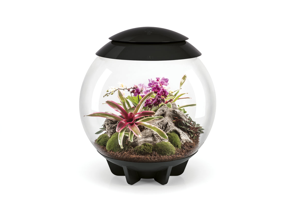 Oase biOrb AIR 60