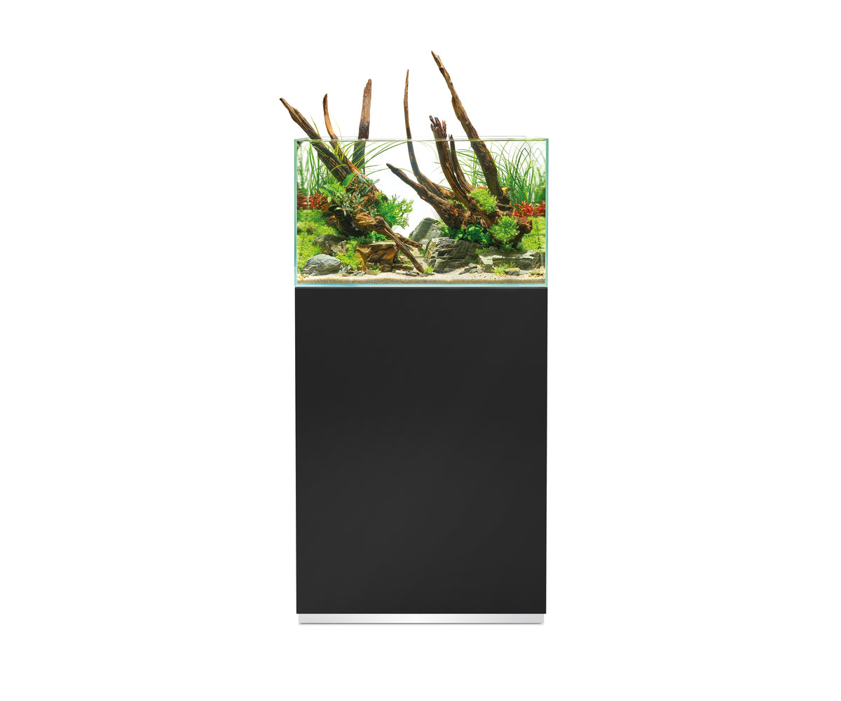 Oase ScaperLine 60 schwarz Set