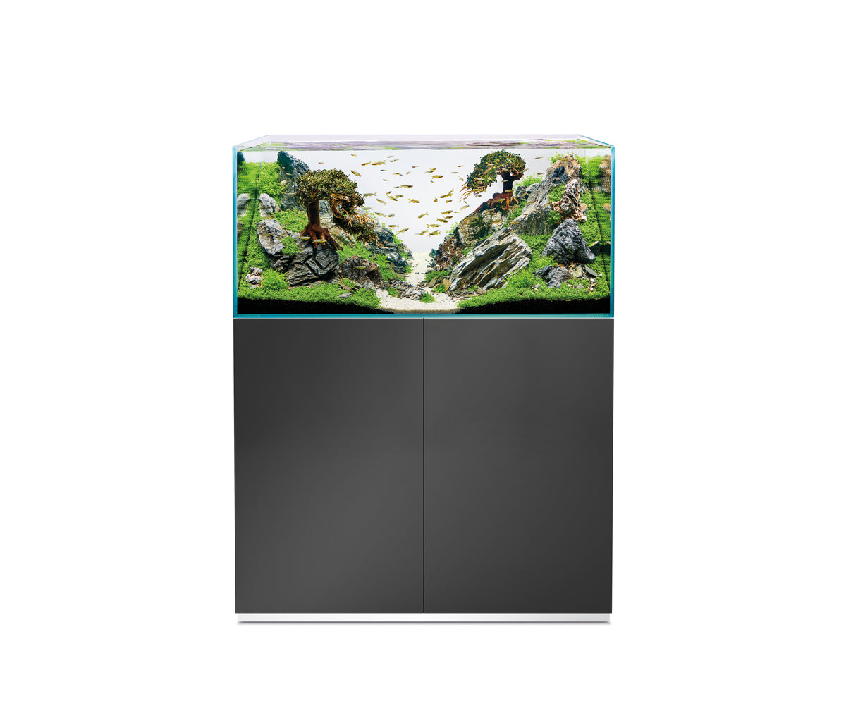 Oase ScaperLine 100 grau Set