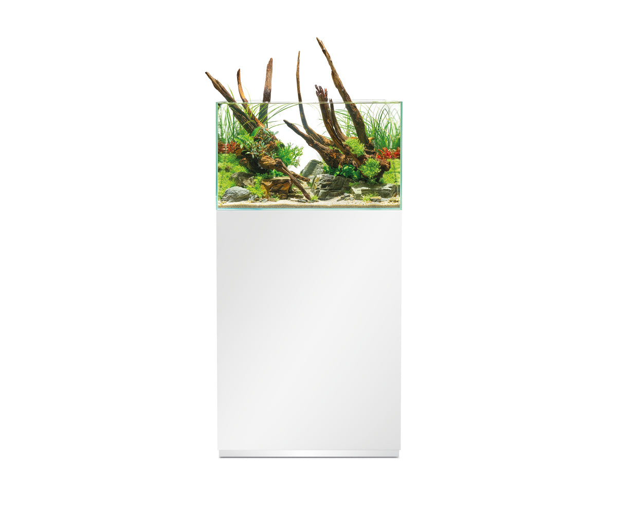 Oase ScaperLine 60 weiß Set