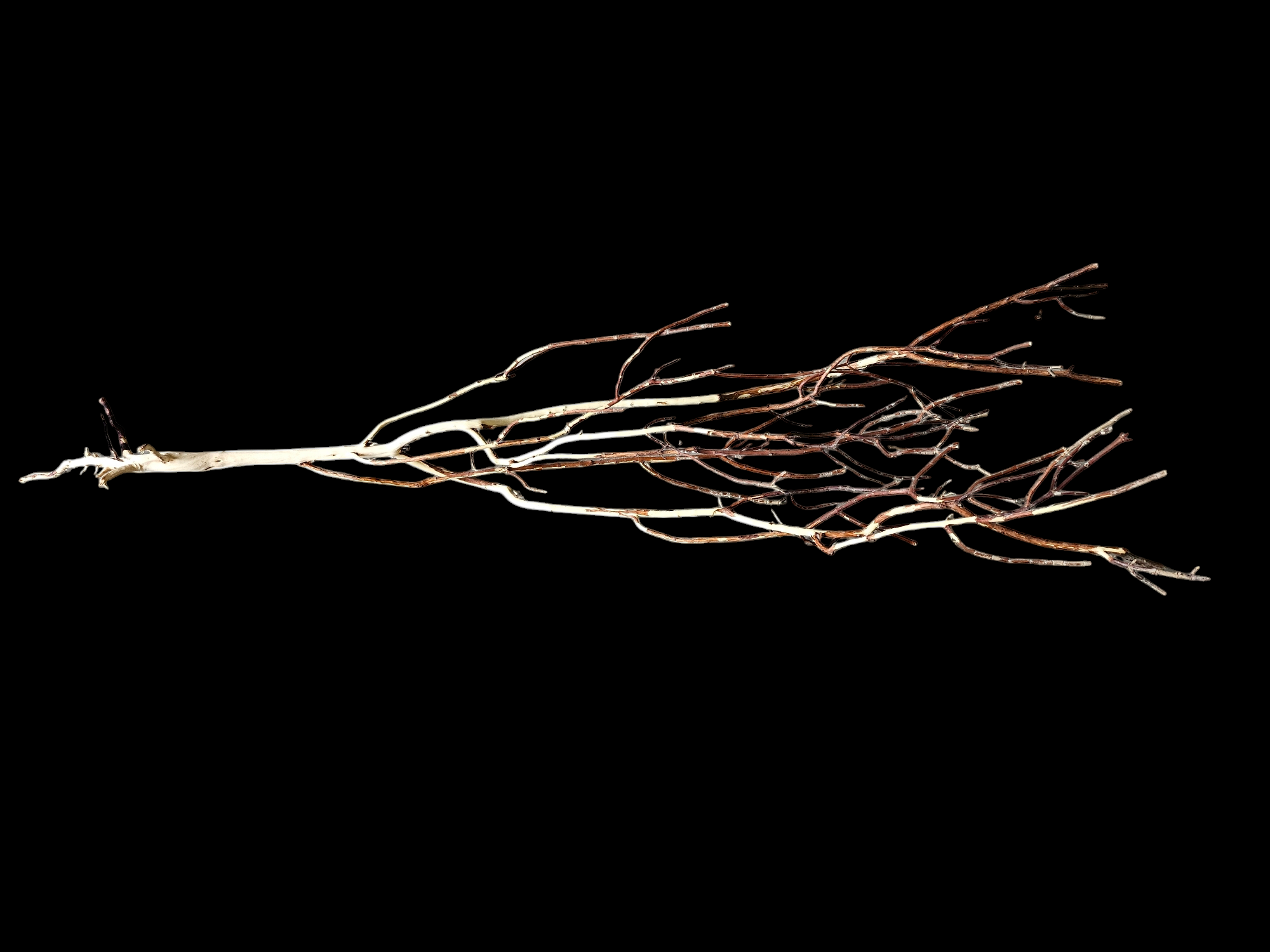 Ghost Wood L Nr.787