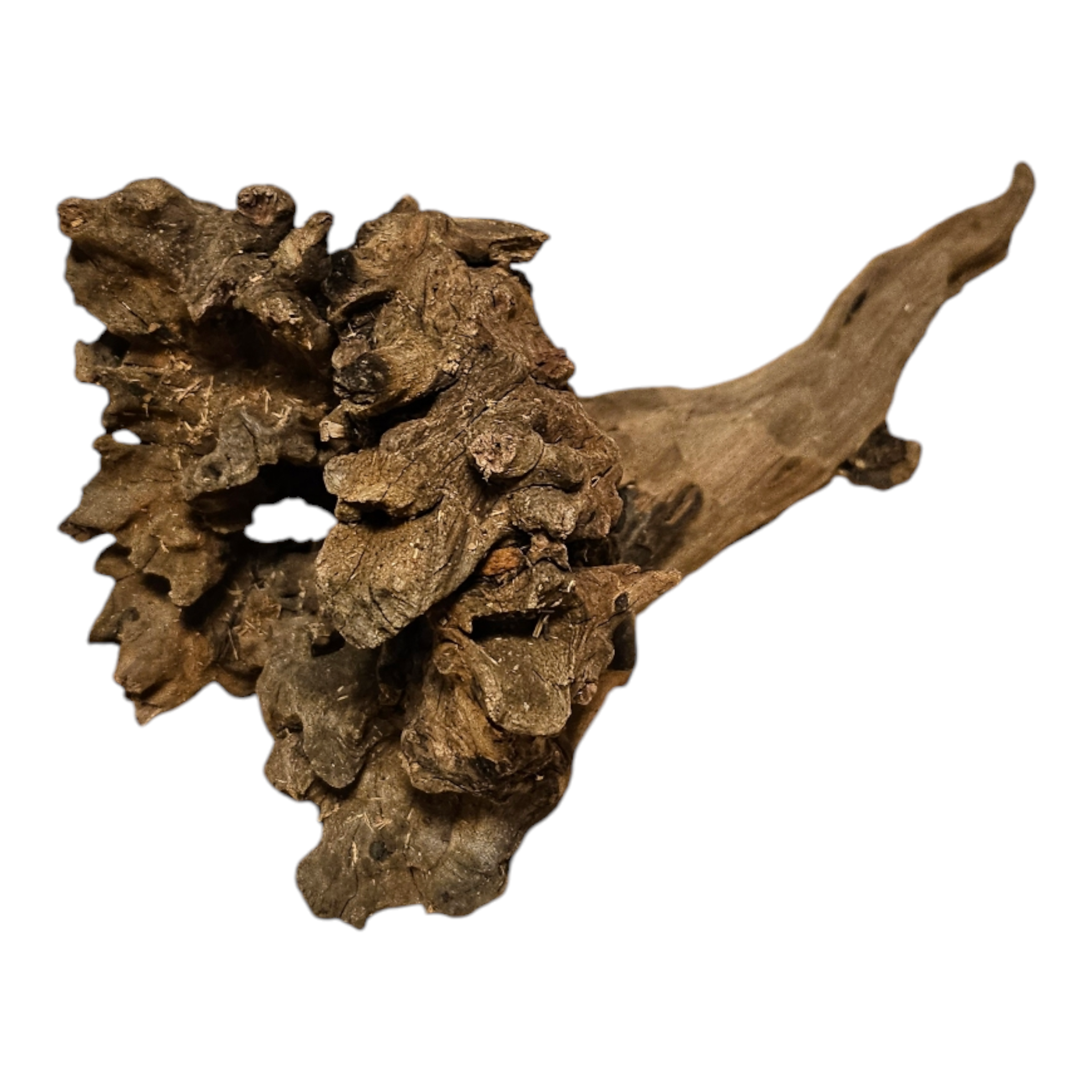 Coral Sinker Wood Nr.601