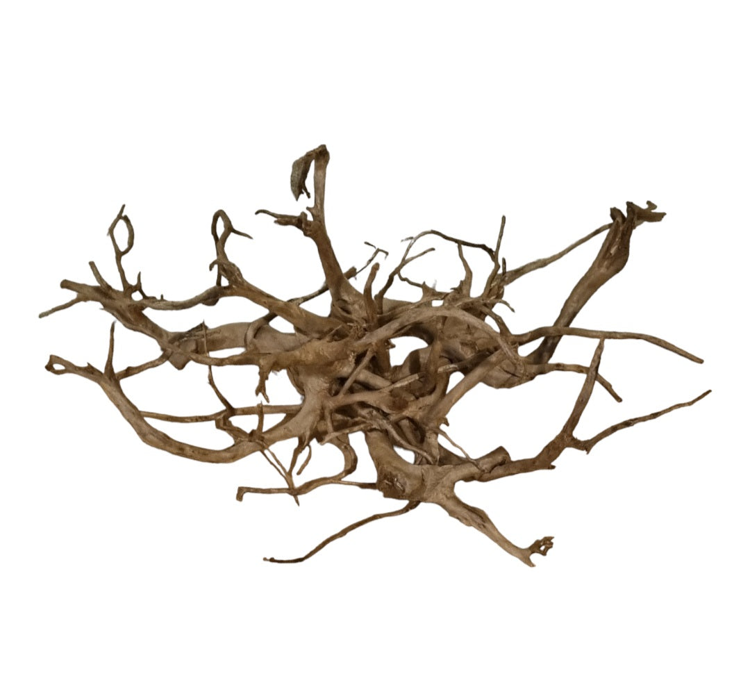 Dunkle Moorwurzel 40-55 cm Wurzel294