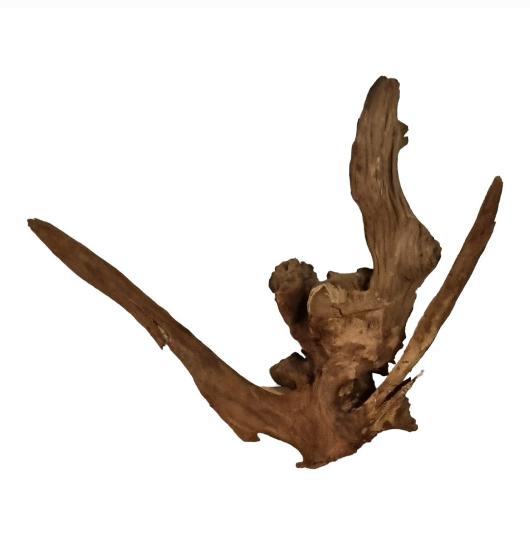 Driftwood / Flusswurzel Nr.176
