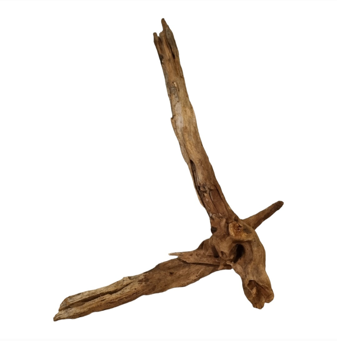 Driftwood / Flusswurzel Nr.209