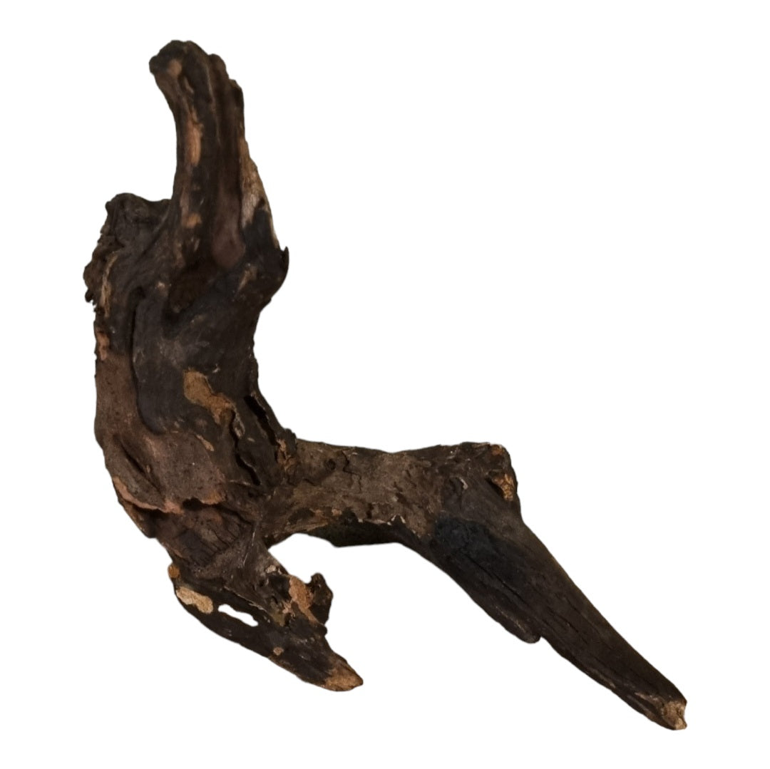 Driftwood / Flusswurzel Nr.336