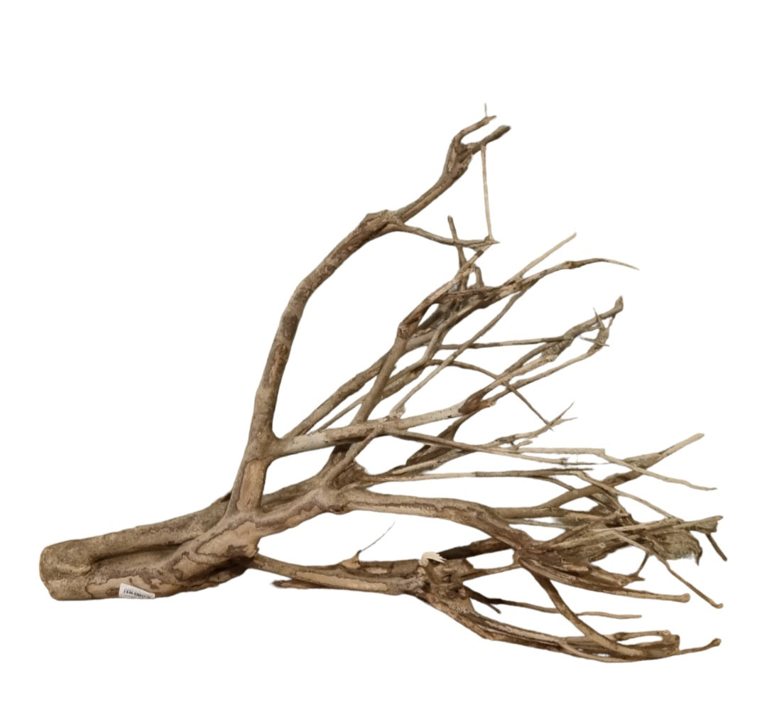 Talawa Holz / Wood 50-70 cm Nr. 249