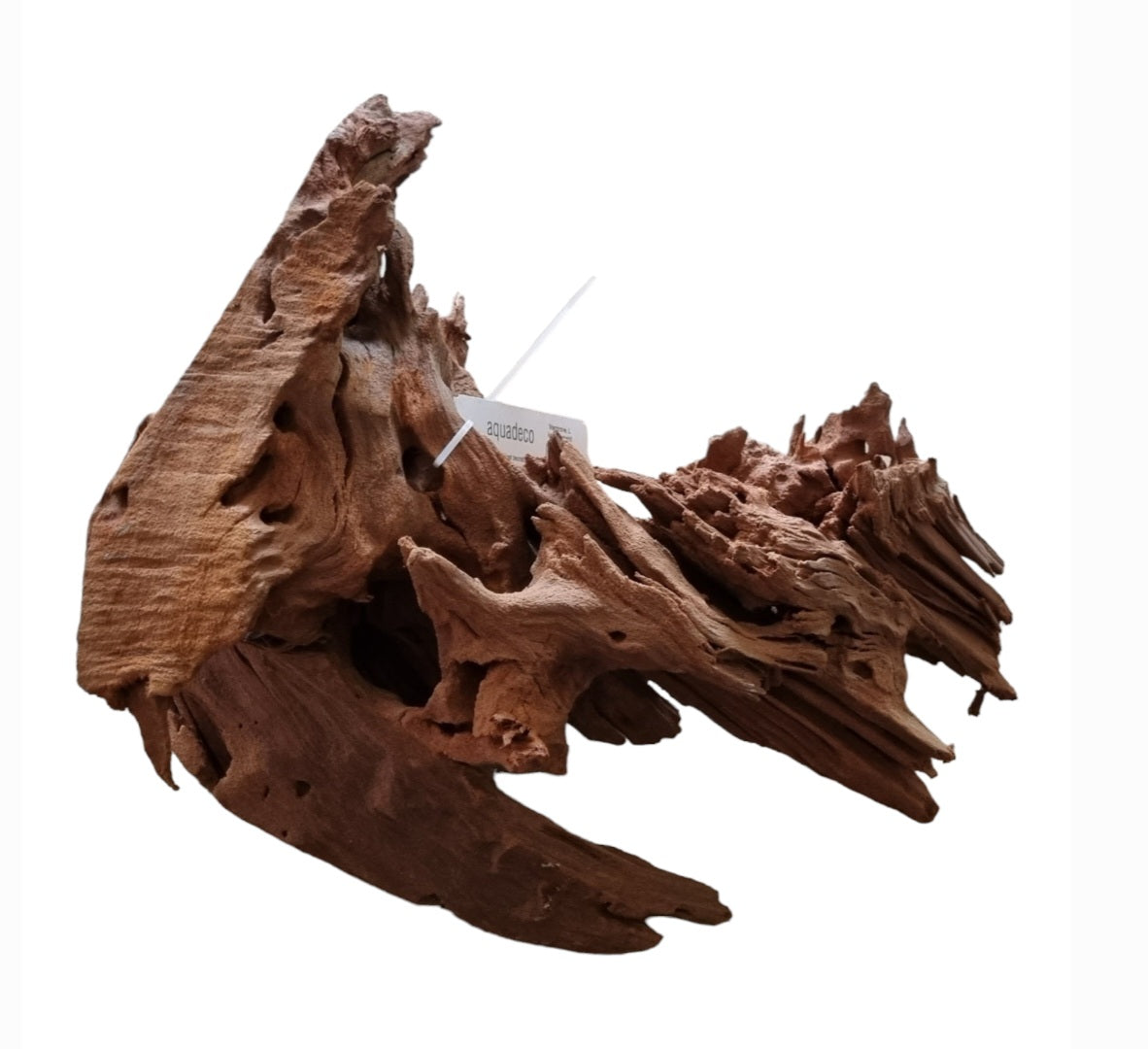 Mangrove Größe XL / Nr.114