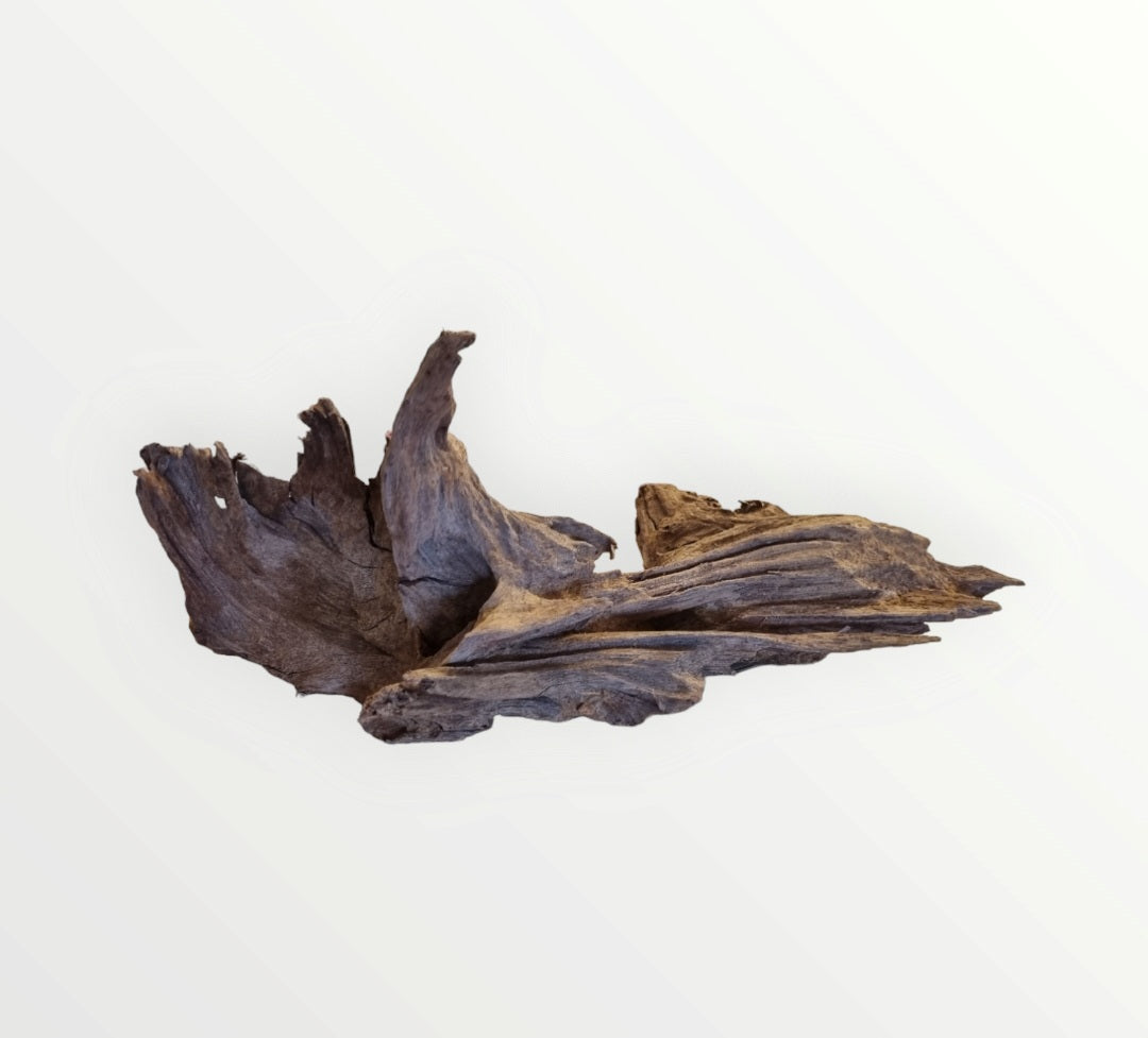 Mangrove Größe M / Nr.115